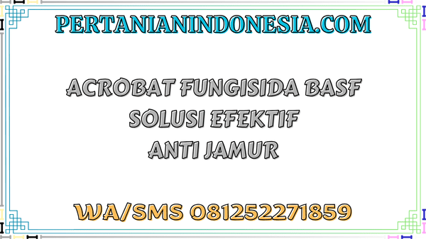 Acrobat Fungisida BASF Solusi Efektif Anti Jamur